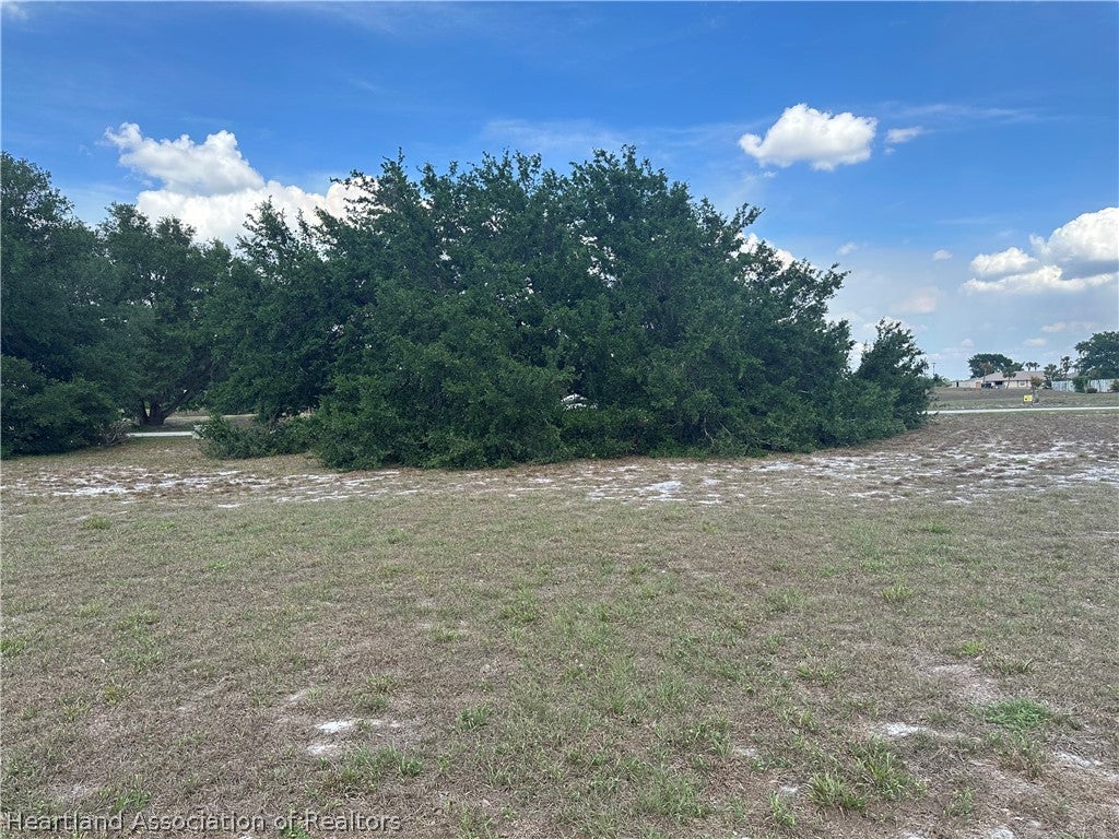 1288 Blue Heron Dr, Sebring, FL 33876 photo