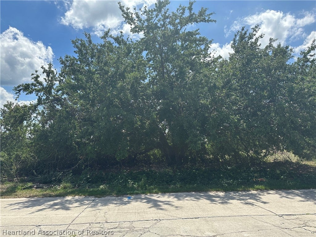 1288 Blue Heron Dr, Sebring, FL 33876 photo
