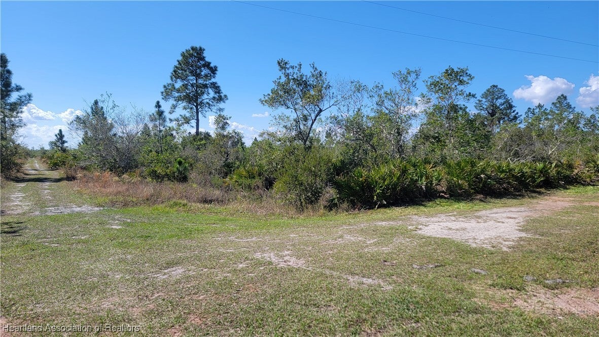 1061 Riding Dr, Lorida, FL 33857 photo