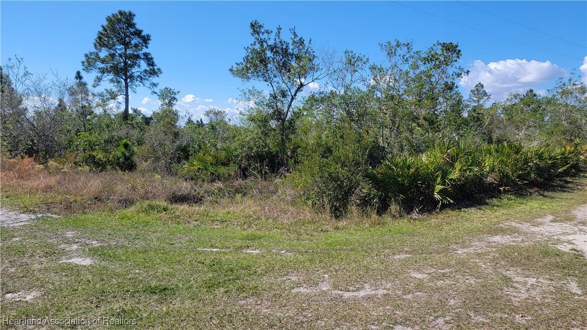 1061 Riding Dr, Lorida, FL 33857 photo