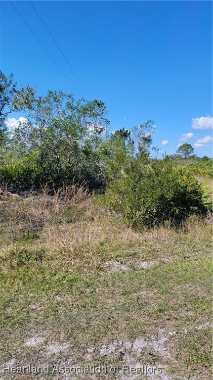 1061 Riding Dr, Lorida, FL 33857 photo