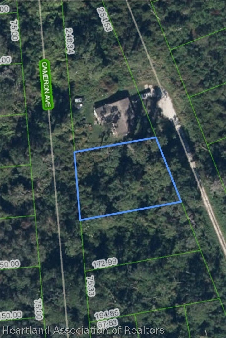 643 Cameron Ave, Lake Placid, FL 33852