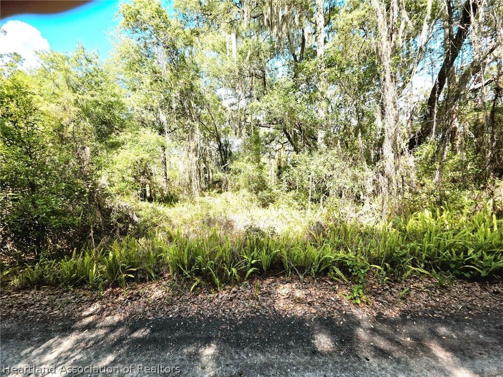 912 Viburnum Dr, Sebring, FL 33875 photo