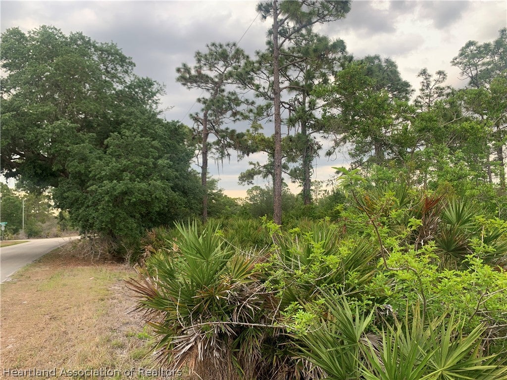 615 Wildflower St, Lake Placid, FL 33852 photo