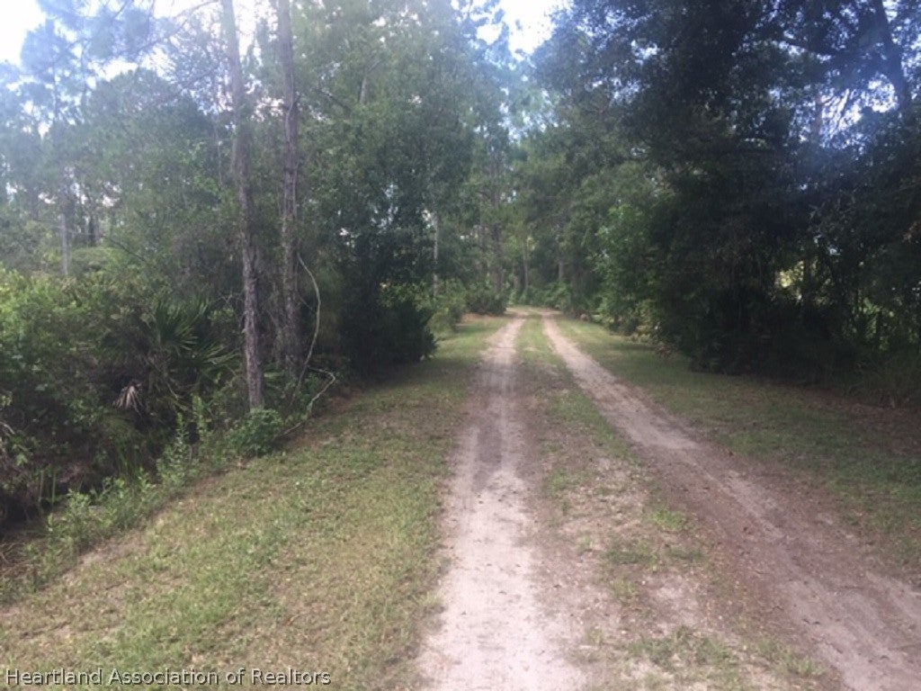 20 S Riverdale Rd, Avon Park, FL 33825 photo