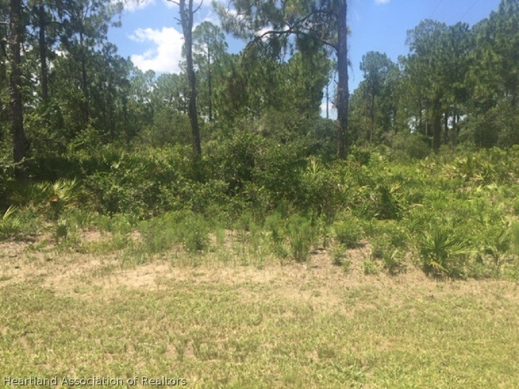 20 Riverdale Rd, Avon Park, FL 33825