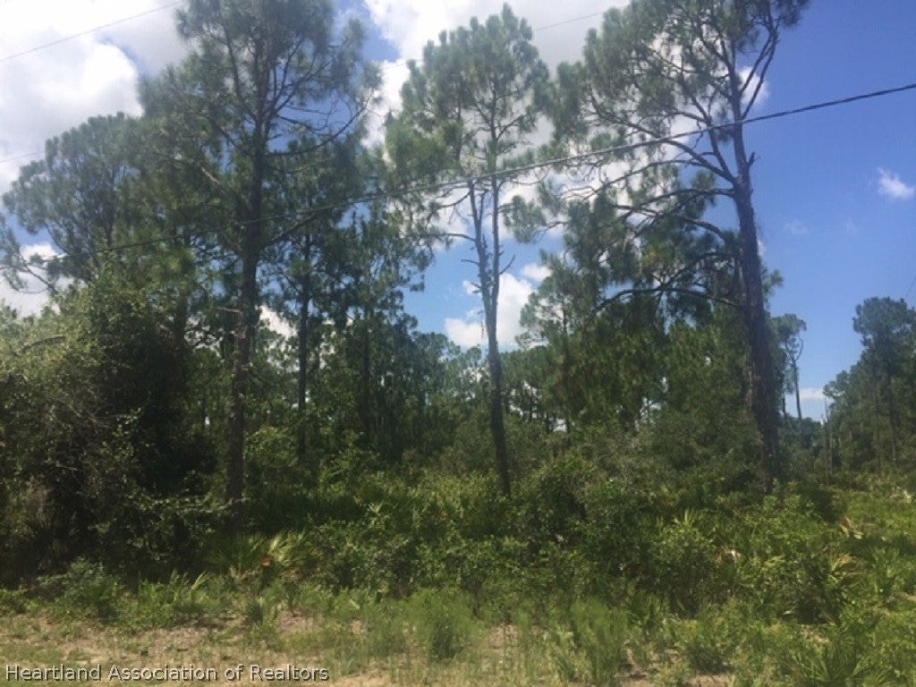 20 S Riverdale Rd, Avon Park, FL 33825 photo