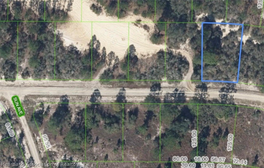 404 Sunshine Ave, Lake Placid, FL 33852 photo