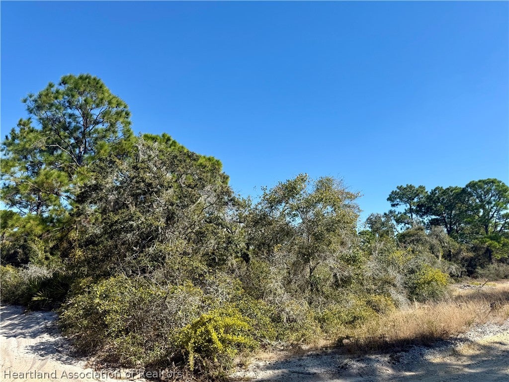 404 Sunshine Ave, Lake Placid, FL 33852 photo