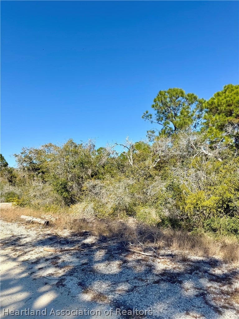 404 Sunshine Ave, Lake Placid, FL 33852 photo