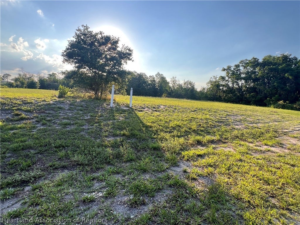 7513 S George Blvd, Sebring, FL 33875 photo