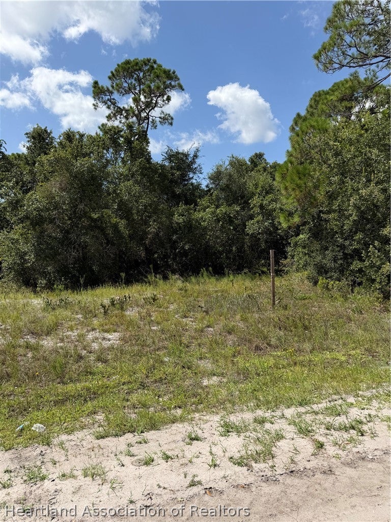 3146 Miller Ave, Lake Placid, FL 33852 photo