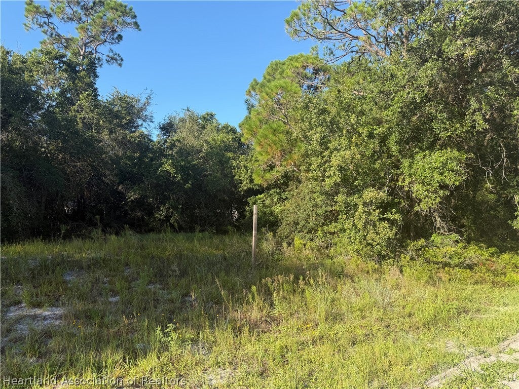 3146 Miller Ave, Lake Placid, FL 33852 photo