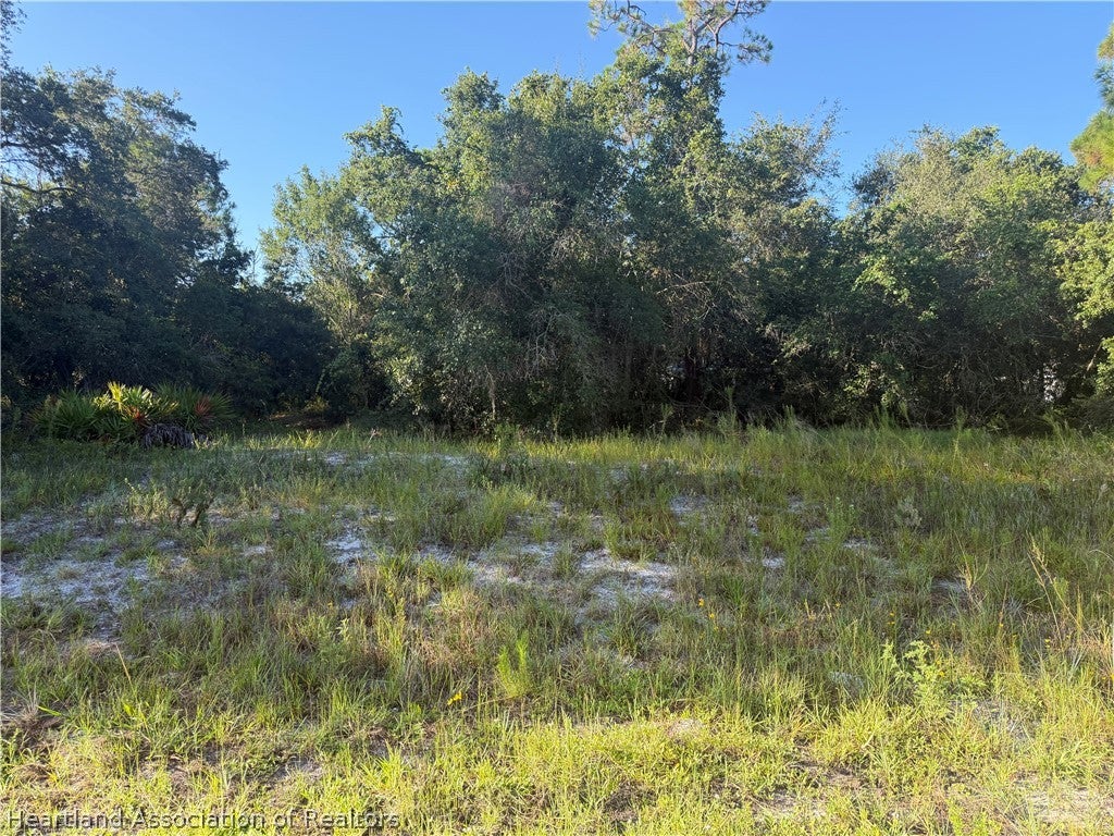 3146 Miller Ave, Lake Placid, FL 33852 photo