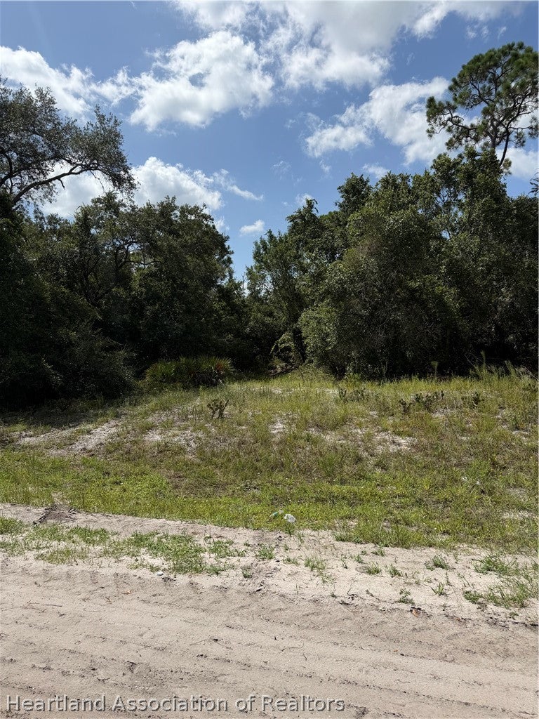 3146 Miller Ave, Lake Placid, FL 33852 photo