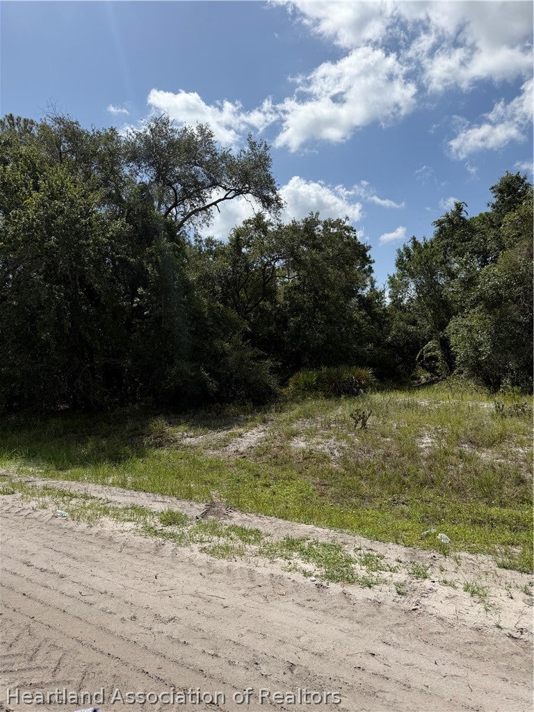 3146 Miller Ave, Lake Placid, FL 33852 photo