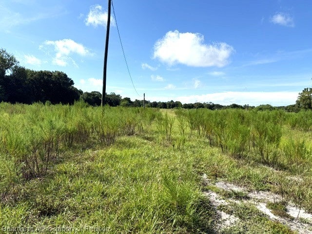 3003 Hicks Rd, Lorida, FL 33857 photo