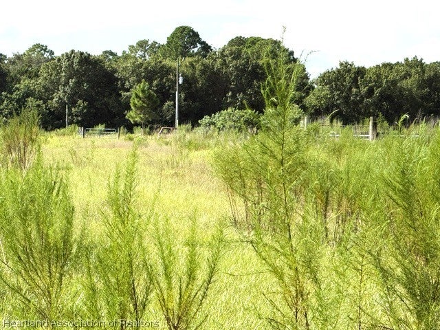 3003 Hicks Rd, Lorida, FL 33857 photo