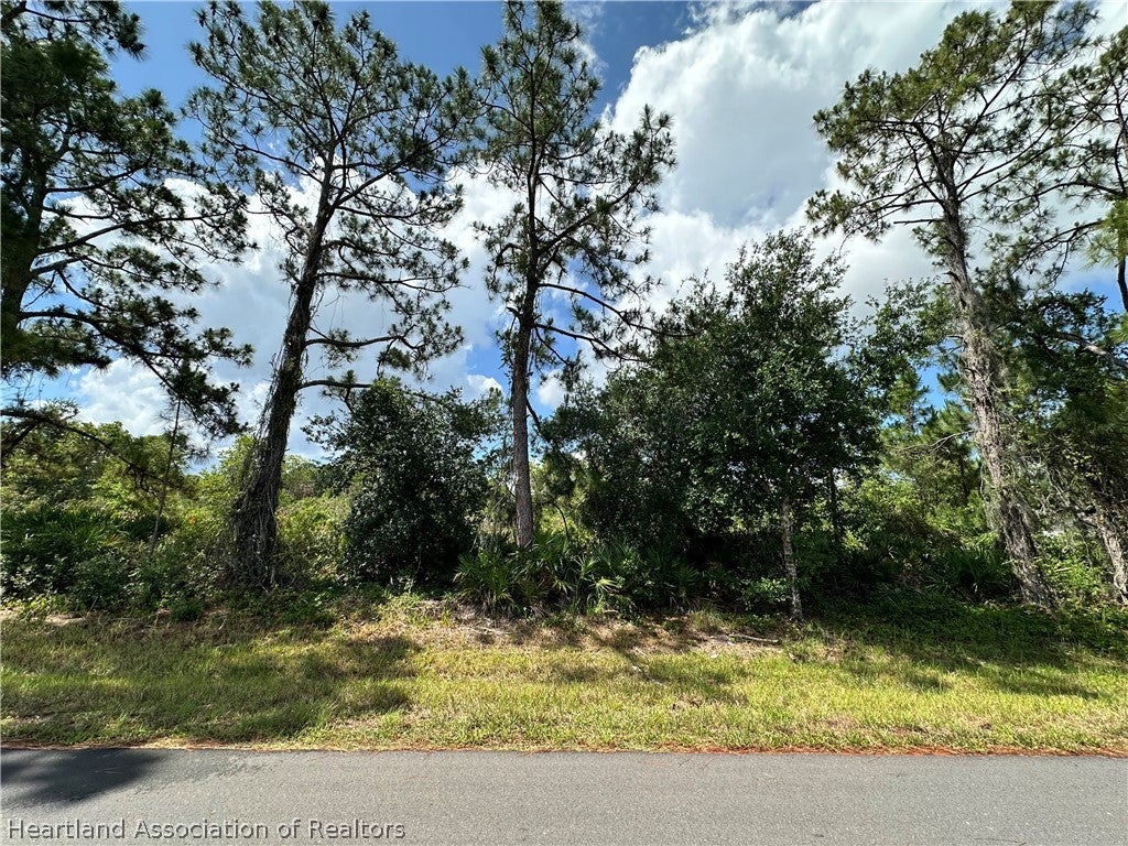 7501 Ancha St, Sebring, FL 33872 photo