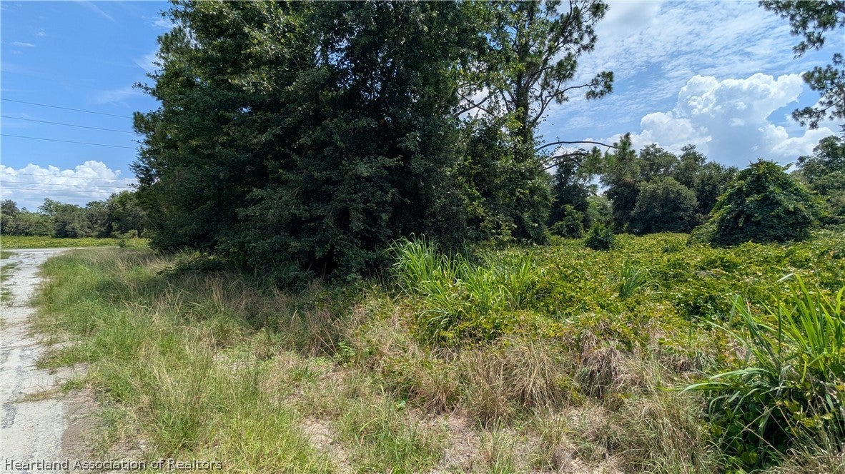 102 Wyckoff Ave, Lake Placid, FL 33852