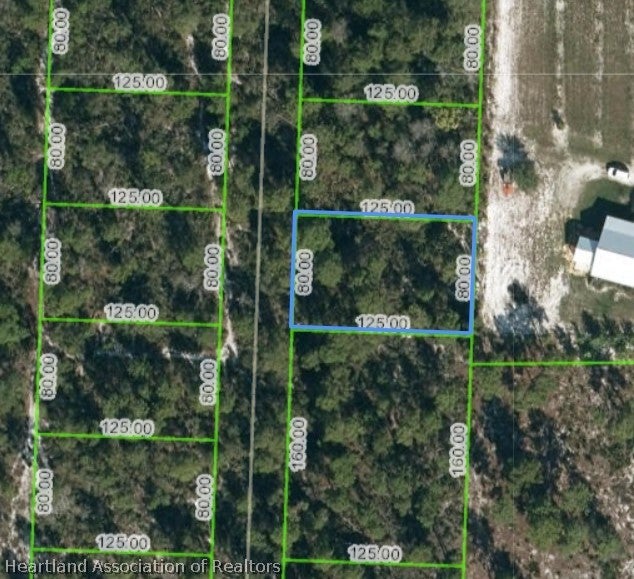 10828 Bending Oak Dr, Sebring, FL 33875 photo