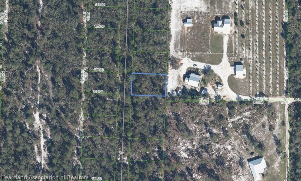 10828 Bending Oak Dr, Sebring, FL 33875 photo