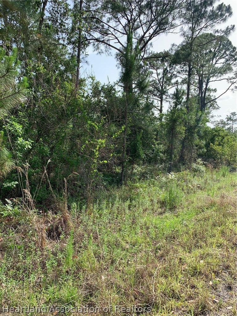 10828 Bending Oak Dr, Sebring, FL 33875 photo