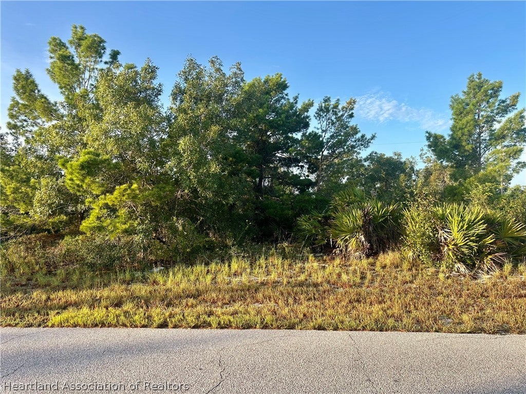 124 Loquat Rd, Lake Placid, FL 33852