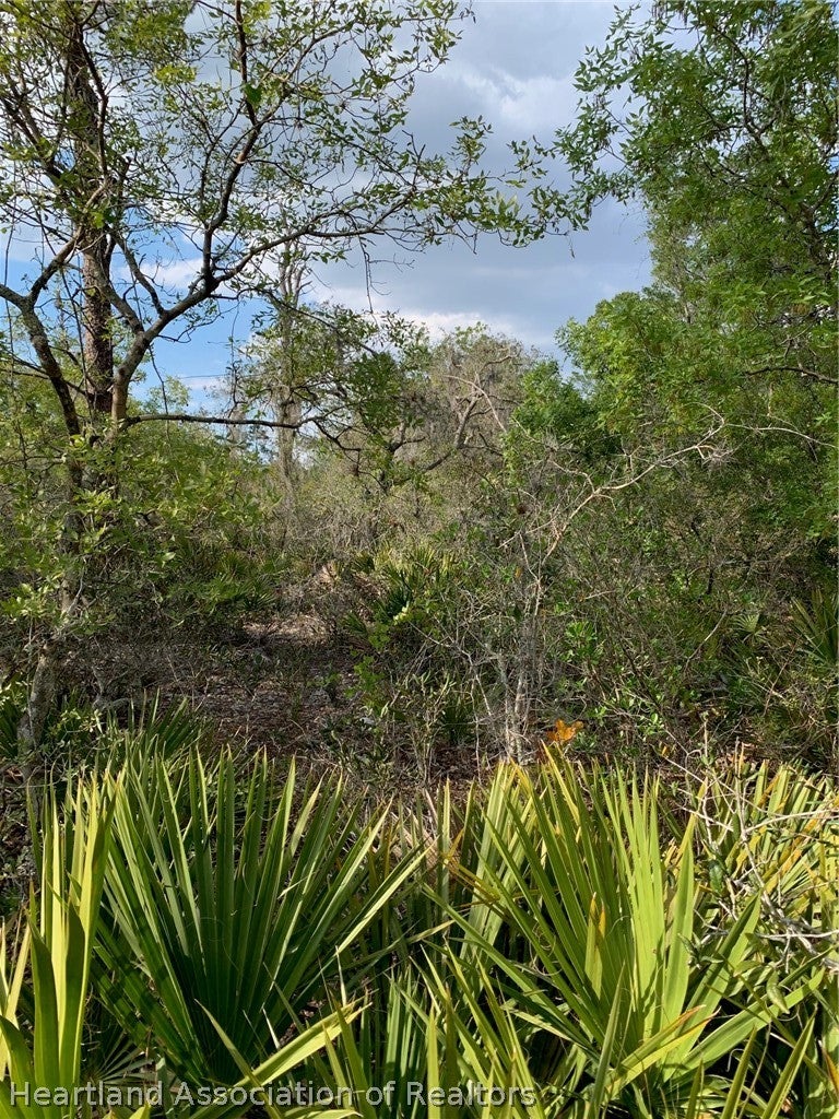 4718 Grand Concourse Course, Sebring, FL 33875 photo