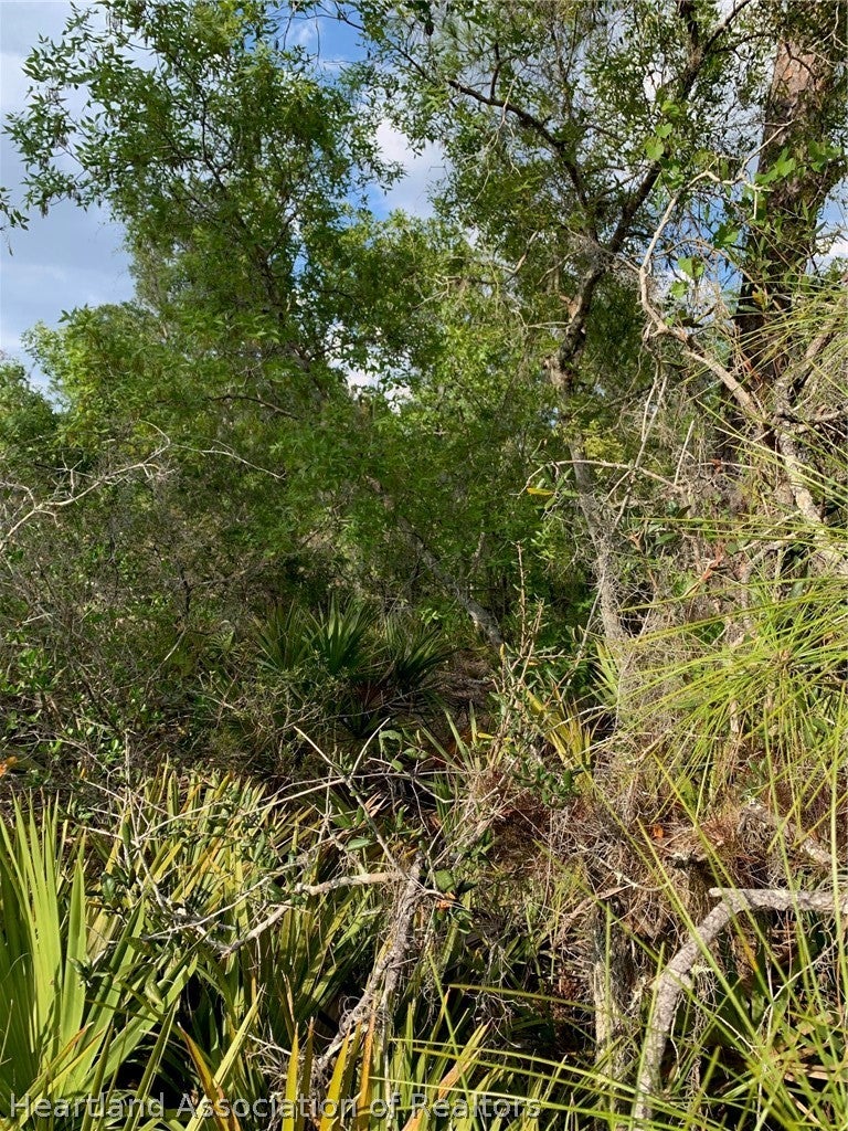 4718 Grand Concourse Course, Sebring, FL 33875 photo