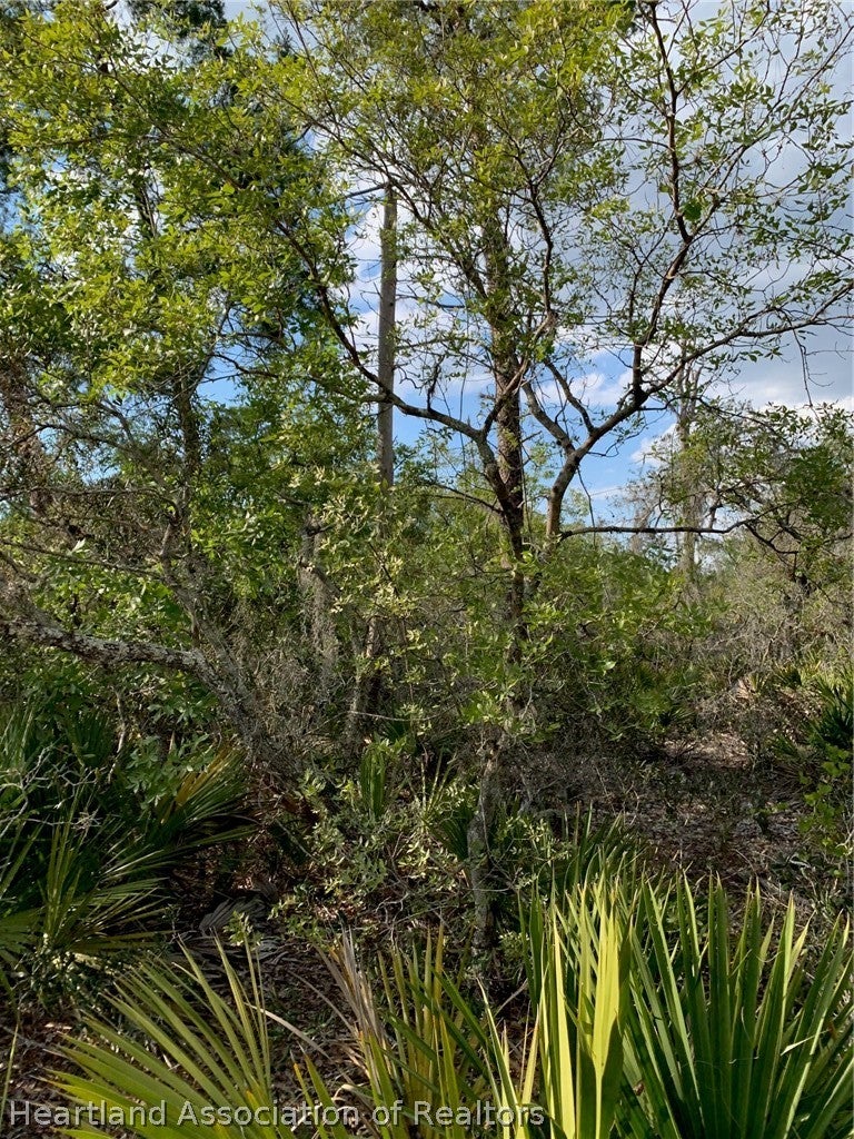 4718 Grand Concourse Course, Sebring, FL 33875 photo