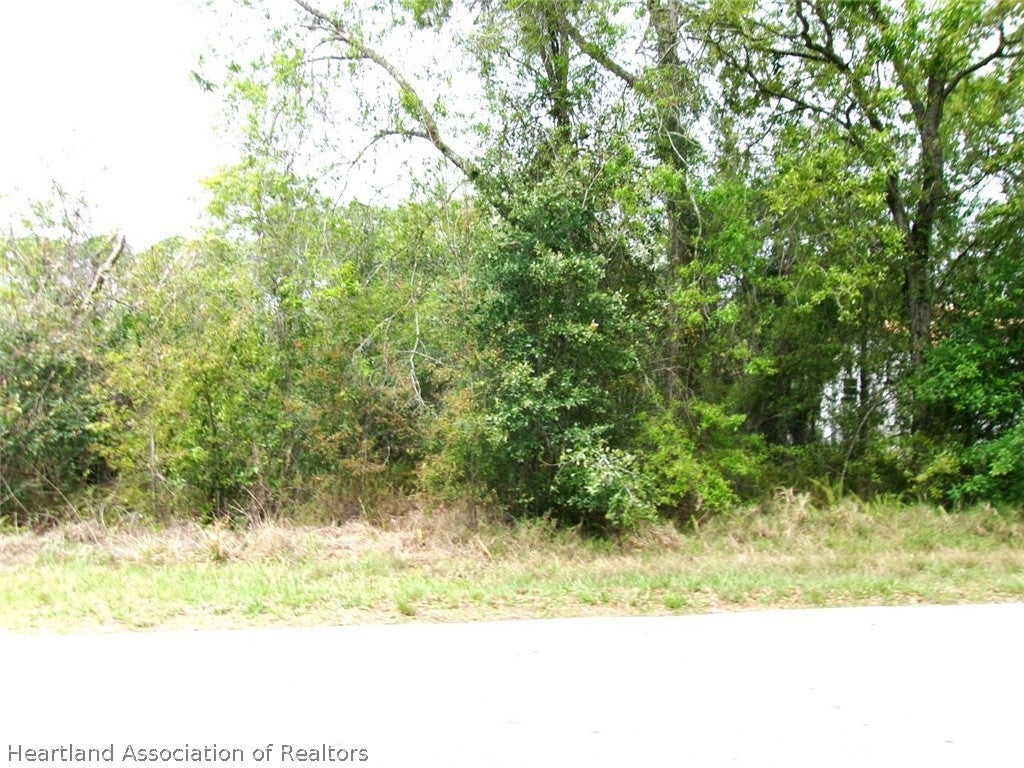1520 Winter Rd, Lake Placid, FL 33852