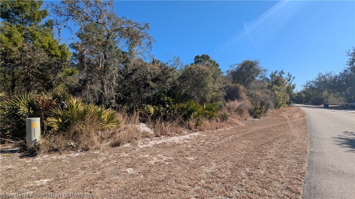 3045 Georgia Pine Rd, Lake Placid, FL 33852 photo