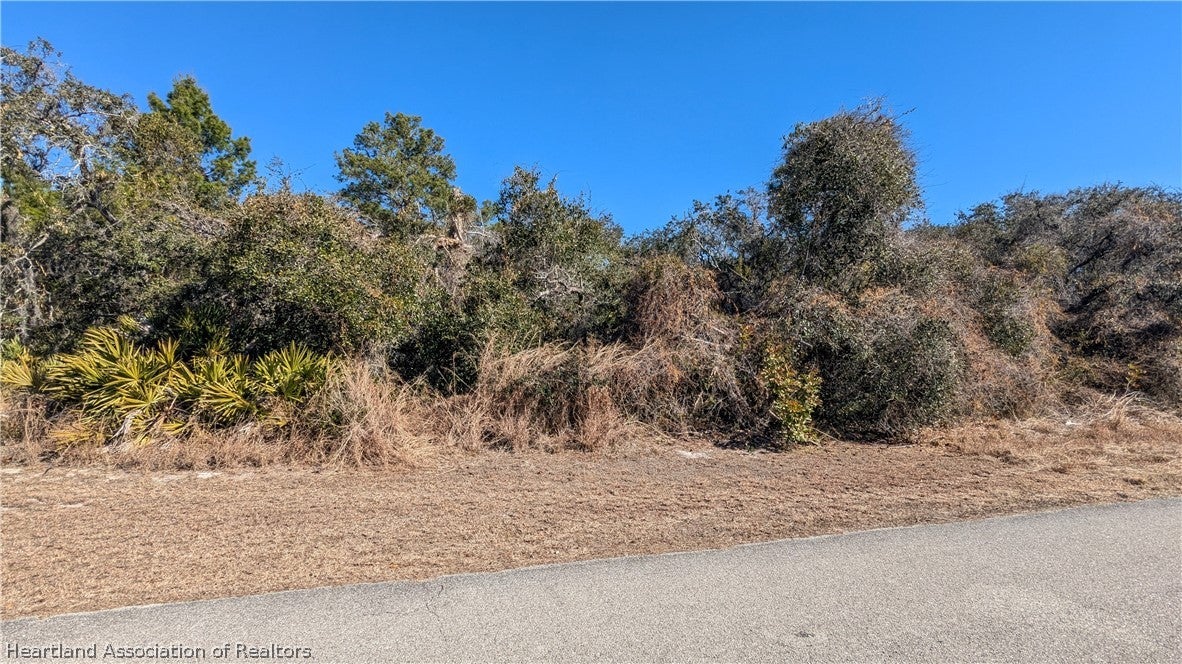 3045 Georgia Pine Rd, Lake Placid, FL 33852 photo