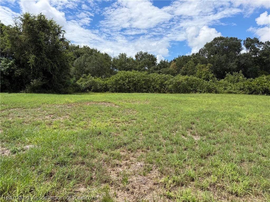 1706 AND 1708 Buck St, Lake Placid, FL 33852