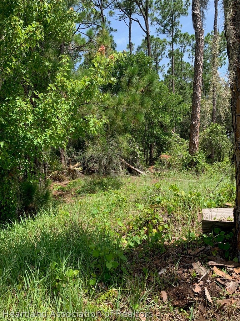 1709 Stream Ave, Sebring, FL 33875 photo