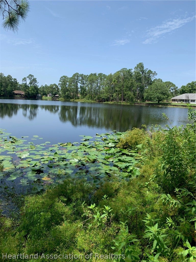 1709 Stream Ave, Sebring, FL 33875 photo