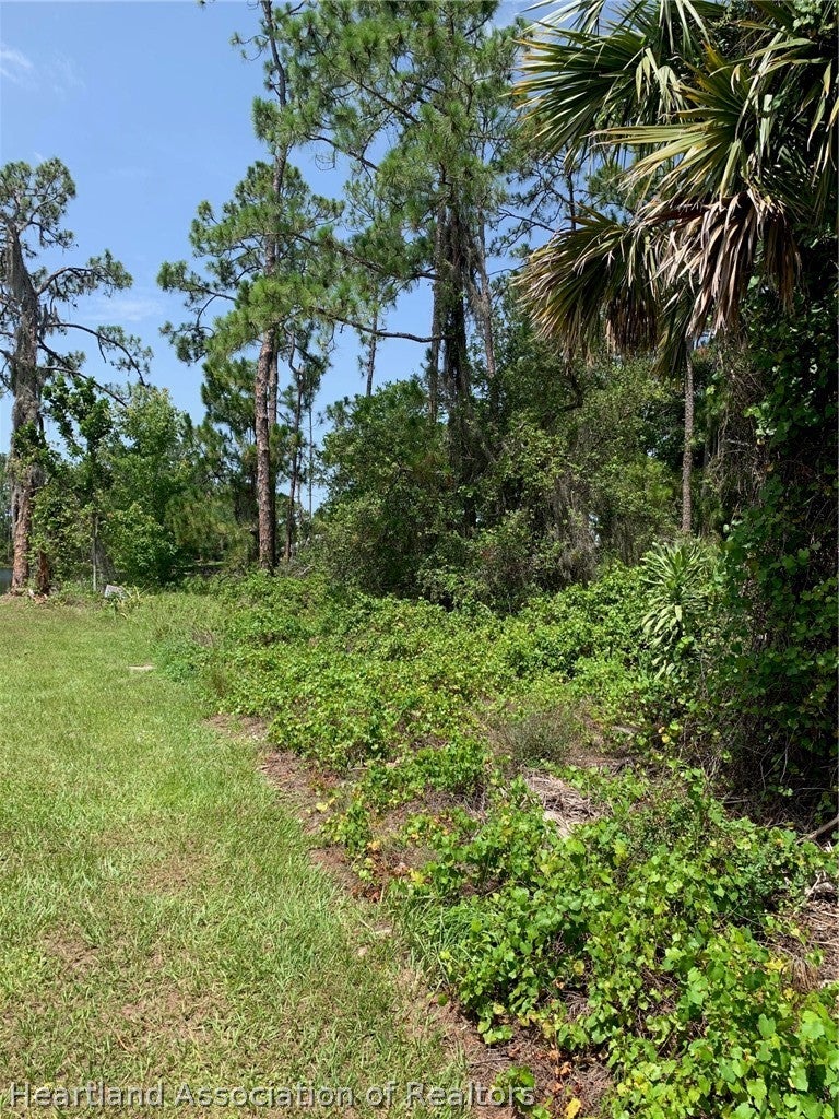 1709 Stream Ave, Sebring, FL 33875 photo
