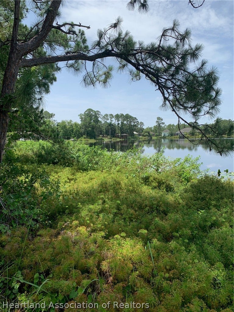 1709 Stream Ave, Sebring, FL 33875 photo