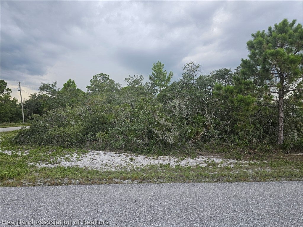 643 Buccaneer St, Lake Placid, FL 33852 photo