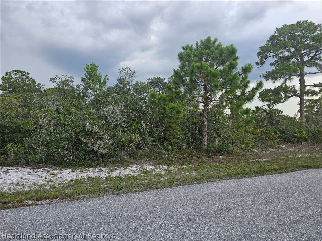 643 Buccaneer St, Lake Placid, FL 33852 photo