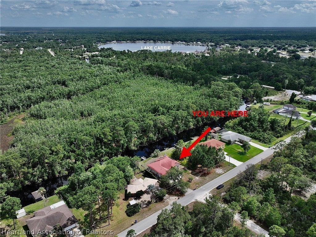 3100 Peachtree Dr, Lake Placid, FL 33852 photo
