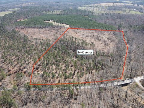  in Ninety Six SC 0 Enoree Church Road (16.6 acres).jpg