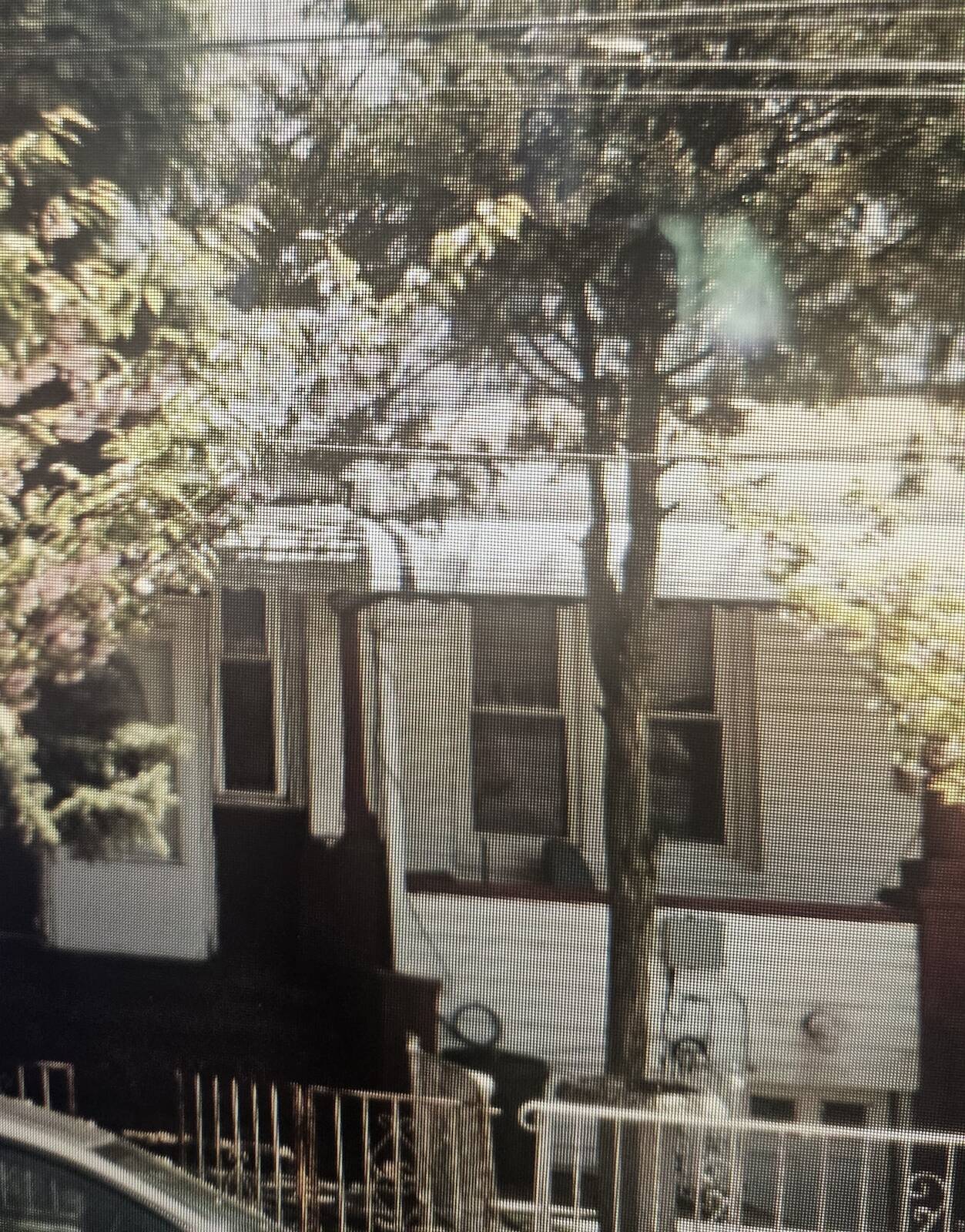 91 19 182nd St, Hollis, NY 11423