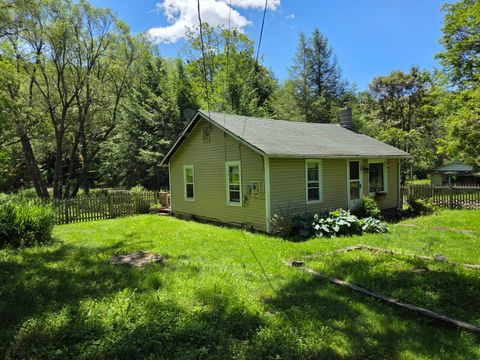 Single Family Residence in Halcott NY 710 Townsend Hollow Road.jpg