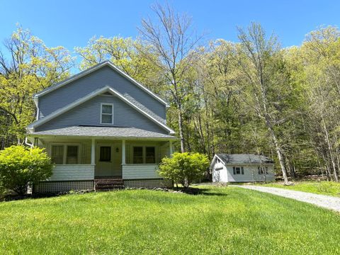 Single Family Residence in Prattsville NY 169 Rt. 4.jpg