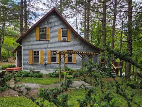 Single Family Residence in Fleischmanns NY 46 Ellsworth Avenue.jpg
