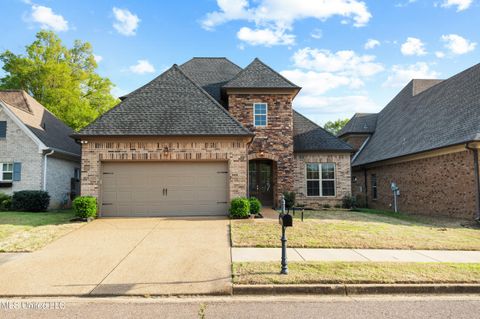 Single Family Residence in Olive Branch MS 9113 Rue Orleans Lane.jpg