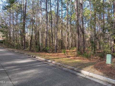  in Hattiesburg MS Lot 11 Marais Ridge.jpg