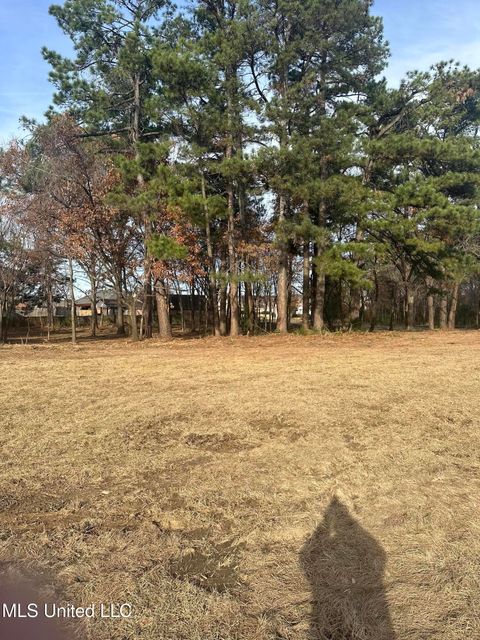  in Olive Branch MS Lot 2 Hamilton  Circle.jpg